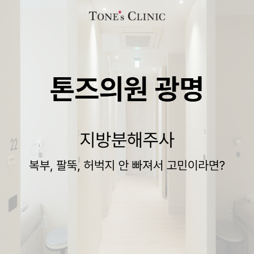 지방분해주사