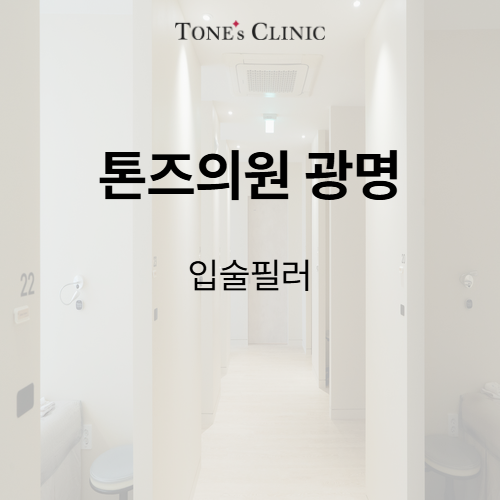 입술필러