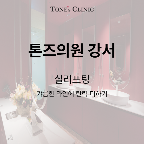 실리프팅