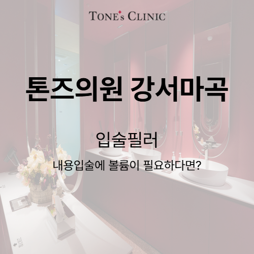 입술필러