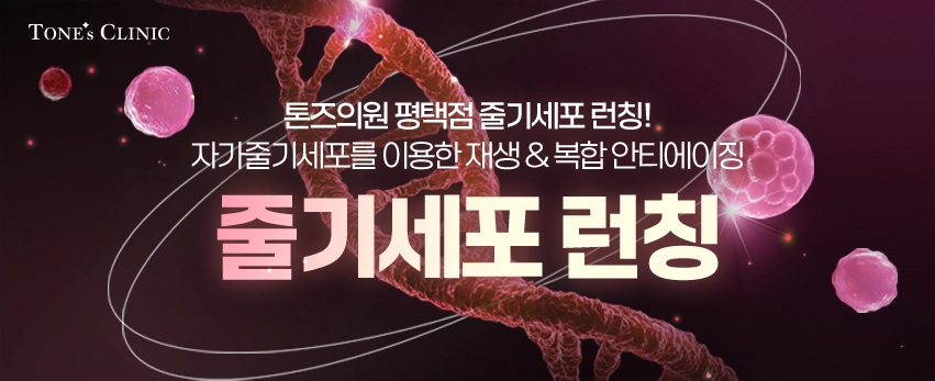 ✧줄기세포 런칭 이벤트