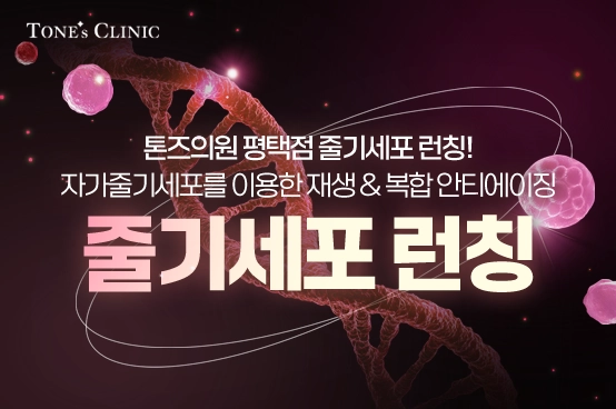 ✧줄기세포 런칭 이벤트